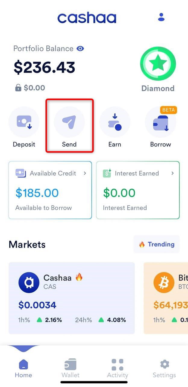 Screenshot for step 1: How to Withdraw Cryptocurrency from Cashaa